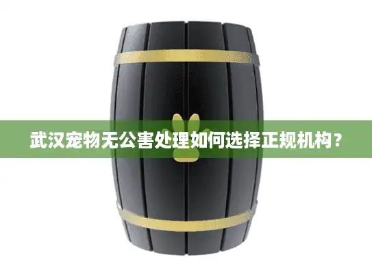 武汉宠物无公害处理如何选择正规机构？