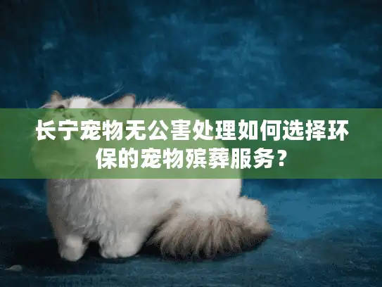 长宁宠物无公害处理如何选择环保的宠物殡葬服务？