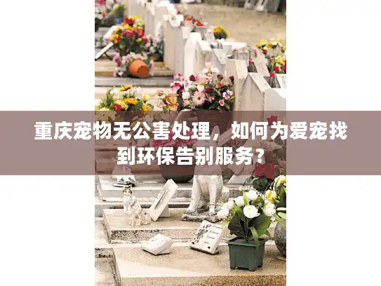 重庆宠物无公害处理，如何为爱宠找到环保告别服务？