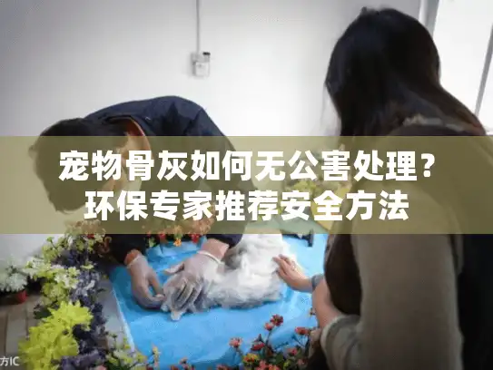 宠物骨灰如何无公害处理？环保专家推荐安全方法