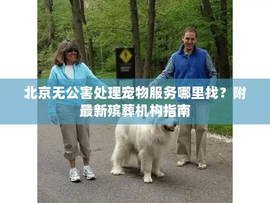 北京无公害处理宠物服务哪里找？附最新殡葬机构指南