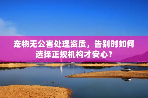 宠物无公害处理资质，告别时如何选择正规机构才安心？