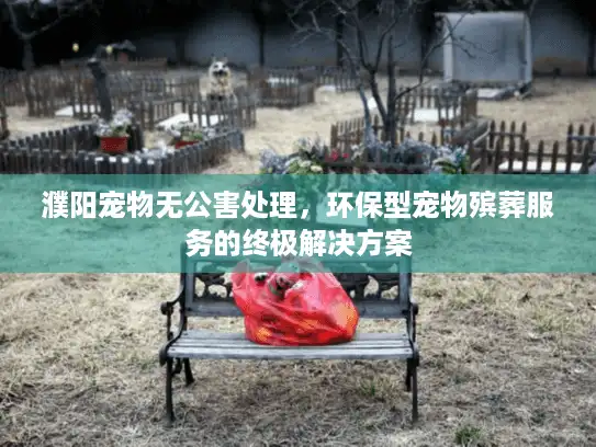 濮阳宠物无公害处理，环保型宠物殡葬服务的终极解决方案