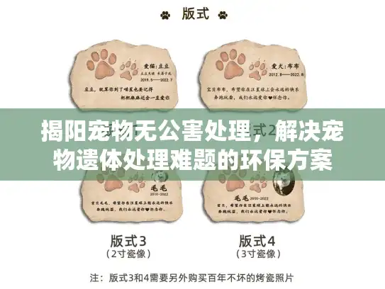 揭阳宠物无公害处理，解决宠物遗体处理难题的环保方案