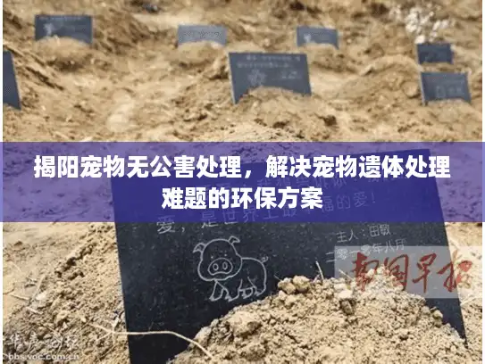 揭阳宠物无公害处理，解决宠物遗体处理难题的环保方案