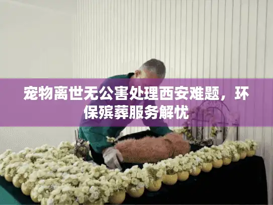 宠物离世无公害处理西安难题，环保殡葬服务解忧