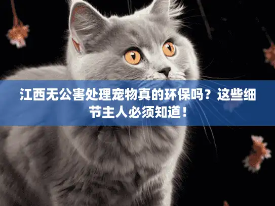 江西无公害处理宠物真的环保吗？这些细节主人必须知道！