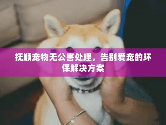 抚顺宠物无公害处理，告别爱宠的环保解决方案
