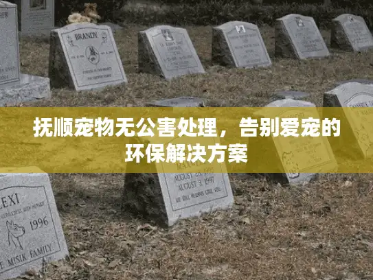 抚顺宠物无公害处理，告别爱宠的环保解决方案
