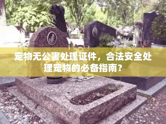 宠物无公害处理证件，合法安全处理宠物的必备指南？