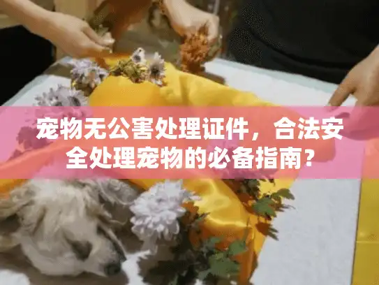 宠物无公害处理证件，合法安全处理宠物的必备指南？