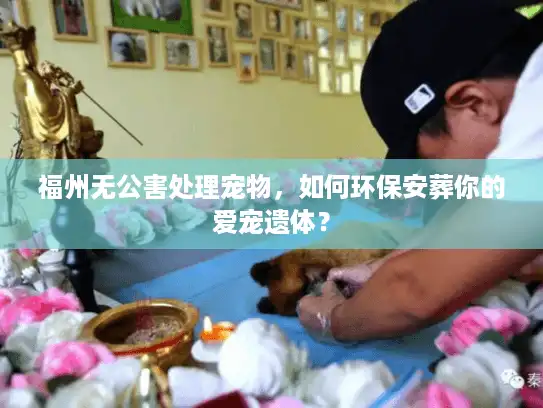 福州无公害处理宠物，如何环保安葬你的爱宠遗体？