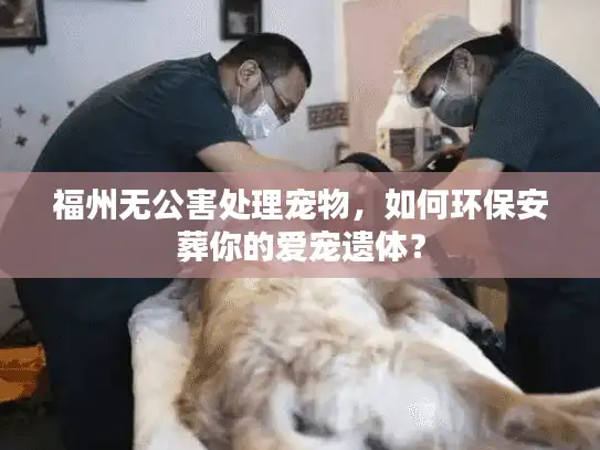 福州无公害处理宠物，如何环保安葬你的爱宠遗体？