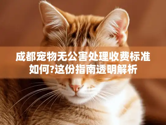 成都宠物无公害处理收费标准如何?这份指南透明解析