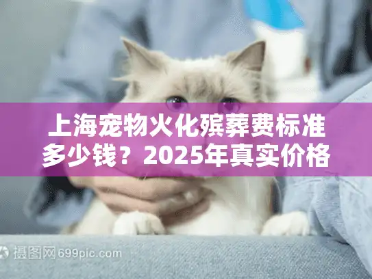 上海宠物火化殡葬费标准多少钱？2025年真实价格指南