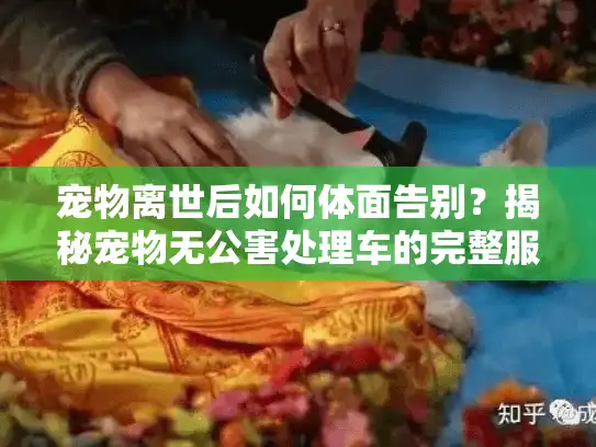 宠物离世后如何体面告别？揭秘宠物无公害处理车的完整服务流程