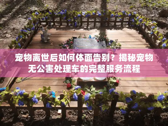 宠物离世后如何体面告别？揭秘宠物无公害处理车的完整服务流程