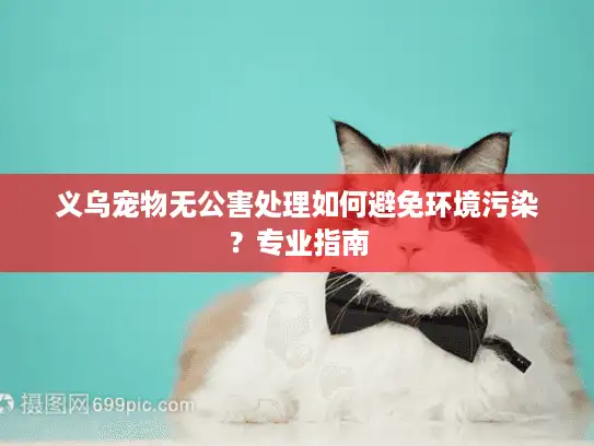 义乌宠物无公害处理如何避免环境污染？专业指南