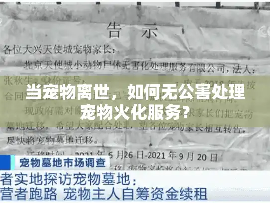 当宠物离世，如何无公害处理宠物火化服务？