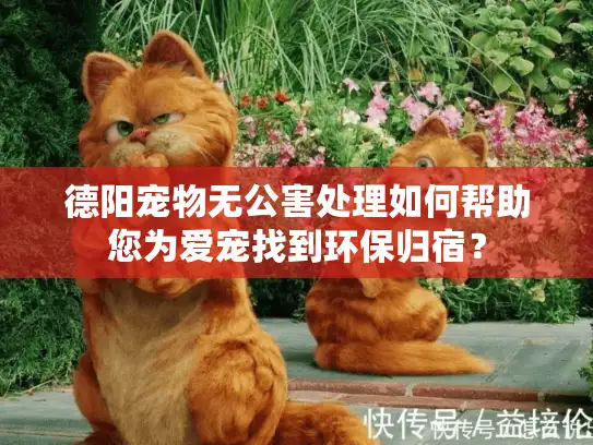 德阳宠物无公害处理如何帮助您为爱宠找到环保归宿？