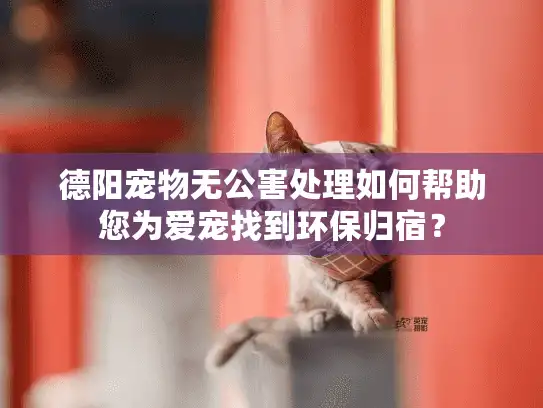 德阳宠物无公害处理如何帮助您为爱宠找到环保归宿？