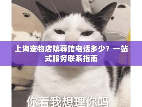 上海宠物店殡葬馆电话多少？一站式服务联系指南