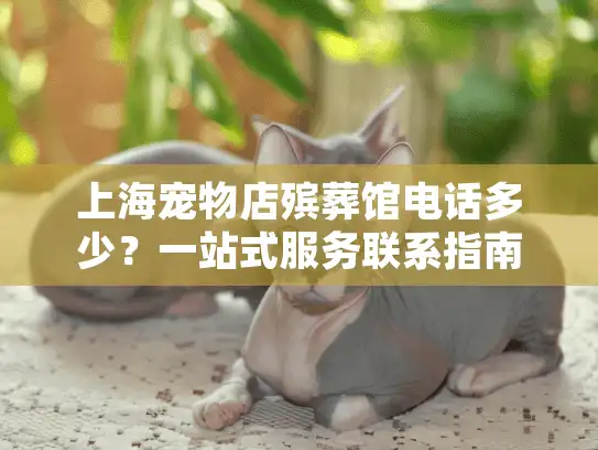 上海宠物店殡葬馆电话多少？一站式服务联系指南
