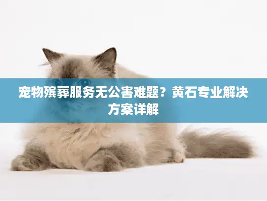 宠物殡葬服务无公害难题？黄石专业解决方案详解