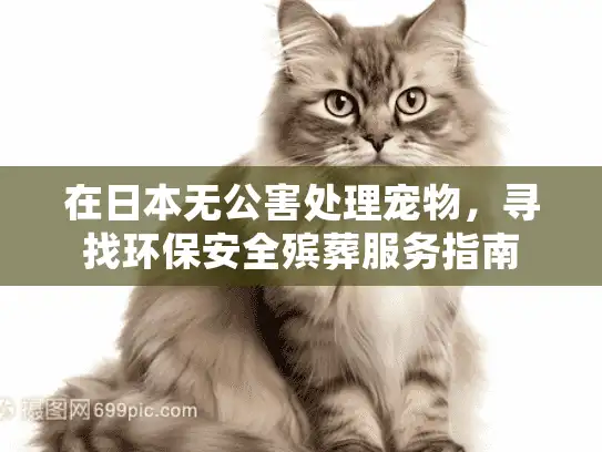 在日本无公害处理宠物，寻找环保安全殡葬服务指南