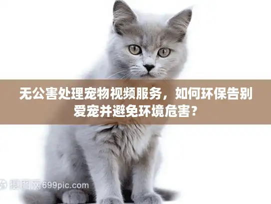 无公害处理宠物视频服务，如何环保告别爱宠并避免环境危害？