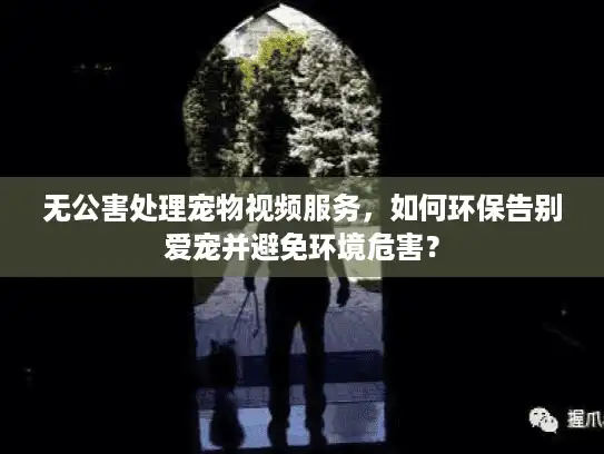 无公害处理宠物视频服务，如何环保告别爱宠并避免环境危害？
