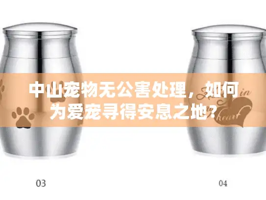 中山宠物无公害处理，如何为爱宠寻得安息之地？