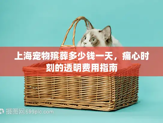 上海宠物殡葬多少钱一天，痛心时刻的透明费用指南