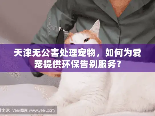 天津无公害处理宠物，如何为爱宠提供环保告别服务？