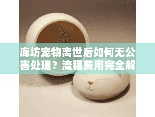 廊坊宠物离世后如何无公害处理？流程费用完全解析