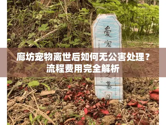 廊坊宠物离世后如何无公害处理？流程费用完全解析