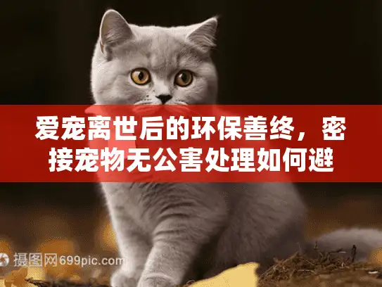 爱宠离世后的环保善终，密接宠物无公害处理如何避免二次伤害？