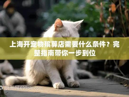 上海开宠物殡葬店需要什么条件？完整指南带你一步到位