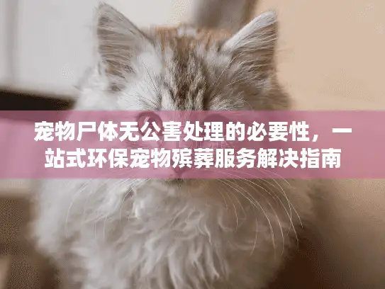 宠物尸体无公害处理的必要性，一站式环保宠物殡葬服务解决指南