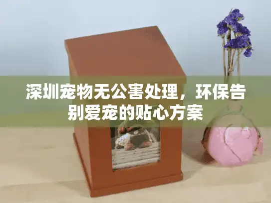 深圳宠物无公害处理，环保告别爱宠的贴心方案