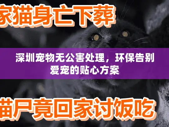 深圳宠物无公害处理，环保告别爱宠的贴心方案