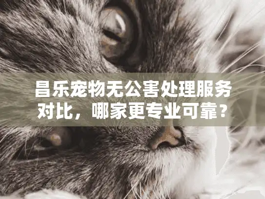 昌乐宠物无公害处理服务对比，哪家更专业可靠？