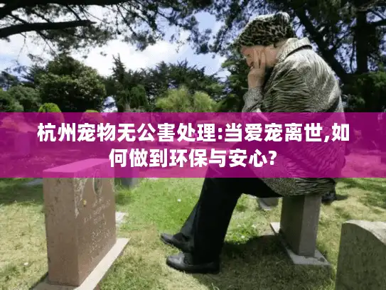 杭州宠物无公害处理:当爱宠离世,如何做到环保与安心?