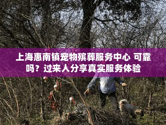 上海惠南镇宠物殡葬服务中心 可靠吗？过来人分享真实服务体验