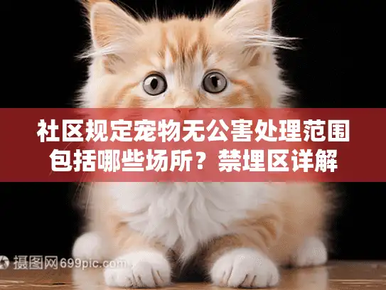 社区规定宠物无公害处理范围包括哪些场所？禁埋区详解