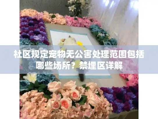 社区规定宠物无公害处理范围包括哪些场所？禁埋区详解