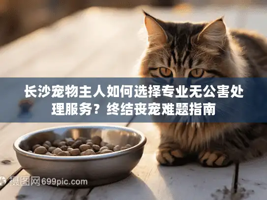 长沙宠物主人如何选择专业无公害处理服务？终结丧宠难题指南