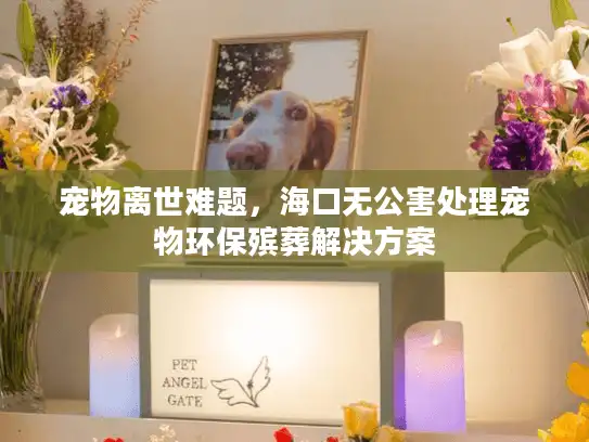 宠物离世难题，海口无公害处理宠物环保殡葬解决方案