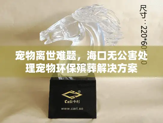 宠物离世难题，海口无公害处理宠物环保殡葬解决方案
