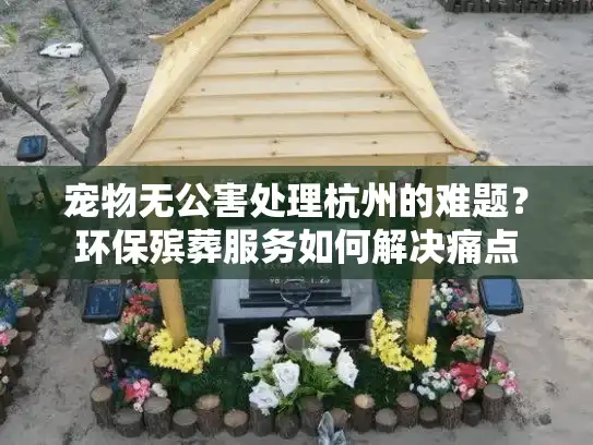 宠物无公害处理杭州的难题？环保殡葬服务如何解决痛点